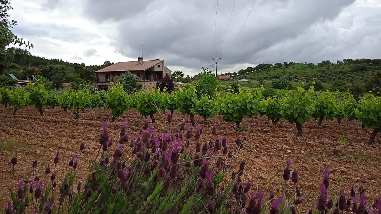 Casa Rural Camino Del Alentejo Villa La Codosera Exteriör bild