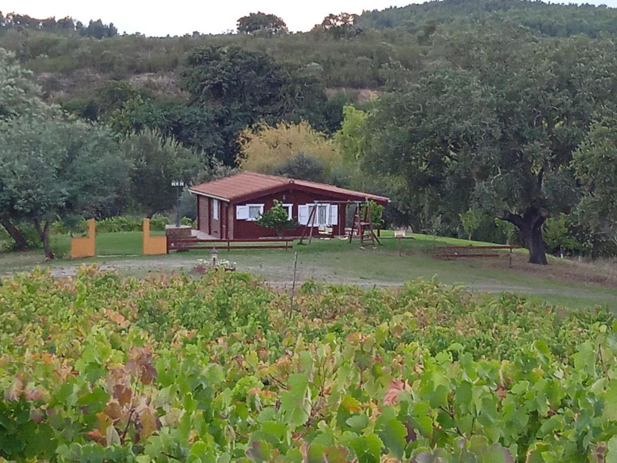 Casa Rural Camino Del Alentejo Villa La Codosera Exteriör bild